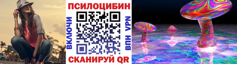 Псилоцибиновые грибы Psilocybe  Рославль 