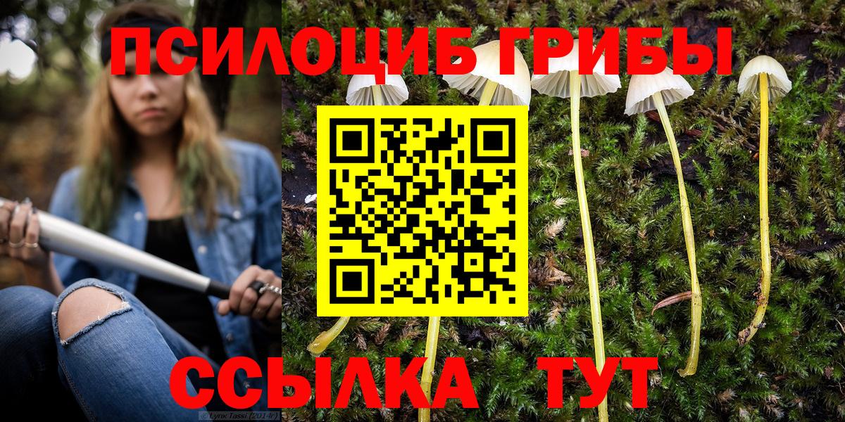 Рославль  Галлюциногенные грибы ЛСД  Вход с VPN 