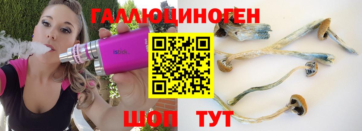 Галлюциногенные грибы Psilocybine cubensis Рославль